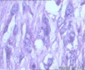 2012-04-06